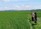 Polsek Pamarican Respons Cepat Penemuan Jenazah di Area Persawahan, Polri Pastikan Penanganan Humanis dan Transparan