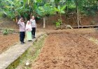 Dukung Hanpangan, Kapolsek Cisaga Cek Lahan Pertanian Persiapan Tanam Jagung di Desa Kepel