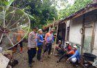 Polri Siaga Bencana, Polsek Pamarican Polres Ciamis Bantu Evakuasi Pohon Tumbang ke Rumah Warga